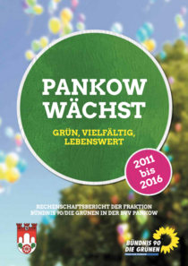 Titelseite Rechenschaftsbericht der Fraktion